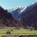 WOMENTRIP : Kashmir, Taj Mahal & Delhi 8 Days 6 Nights