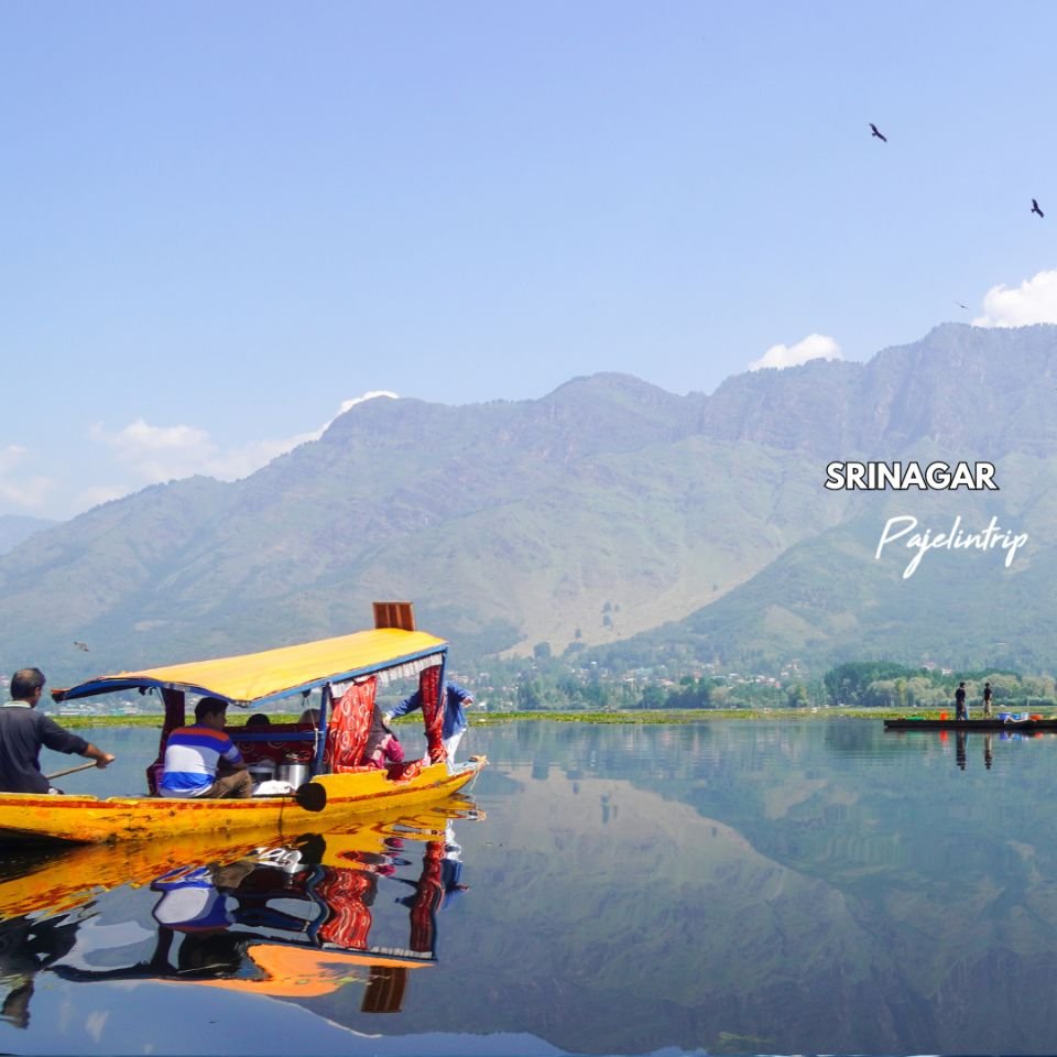 WOMENTRIP : Kashmir, Taj Mahal & Delhi 8 Days 6 Nights